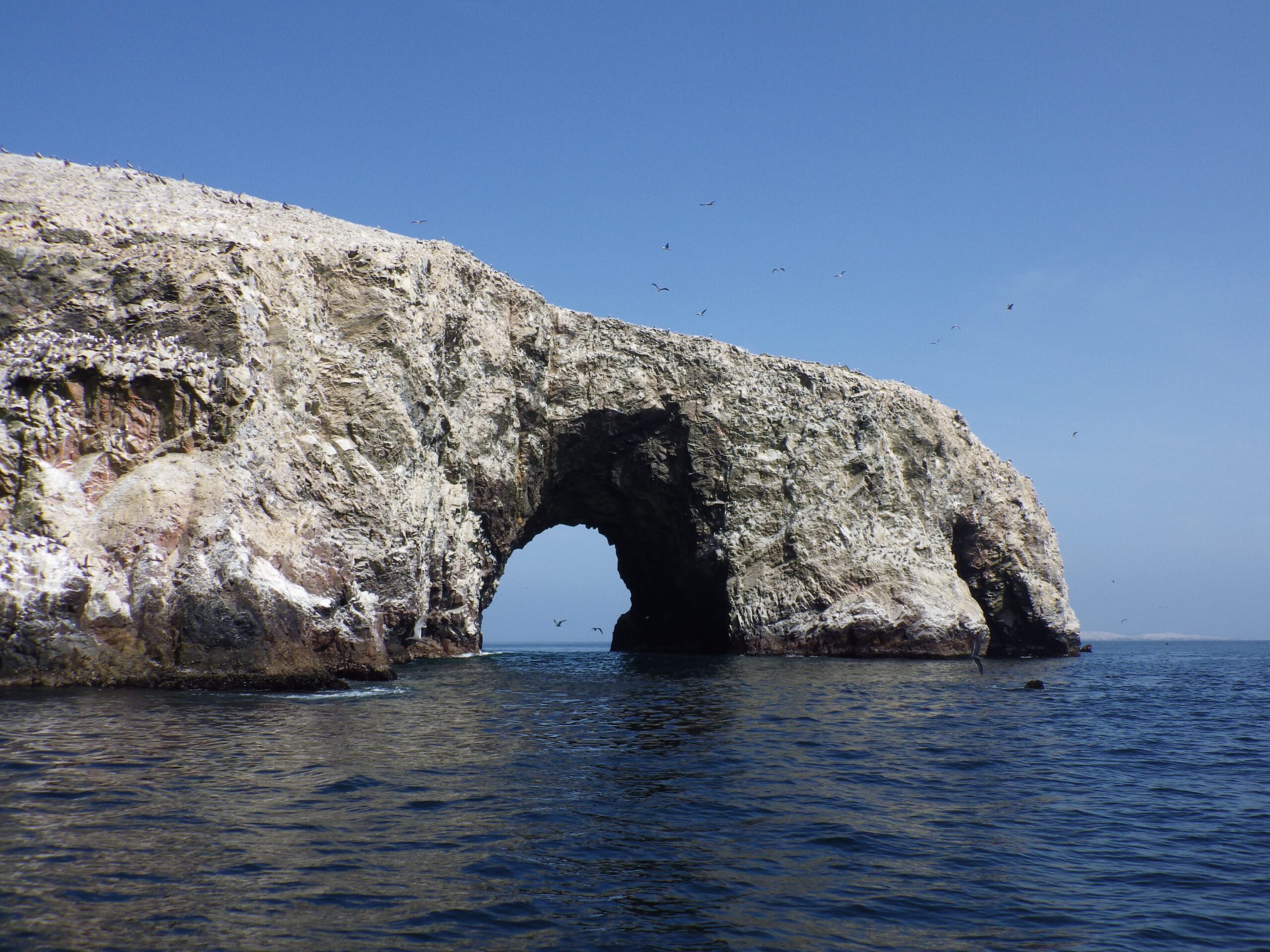 Paracas, la petite station balnéaire