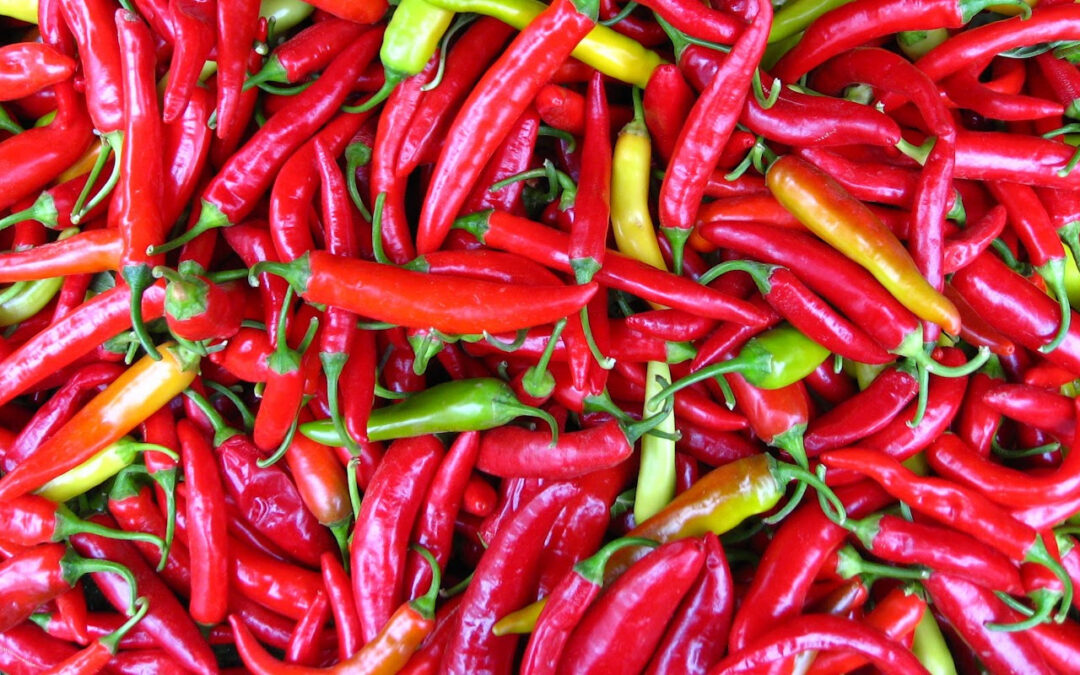 Pérou, terres du Paprika